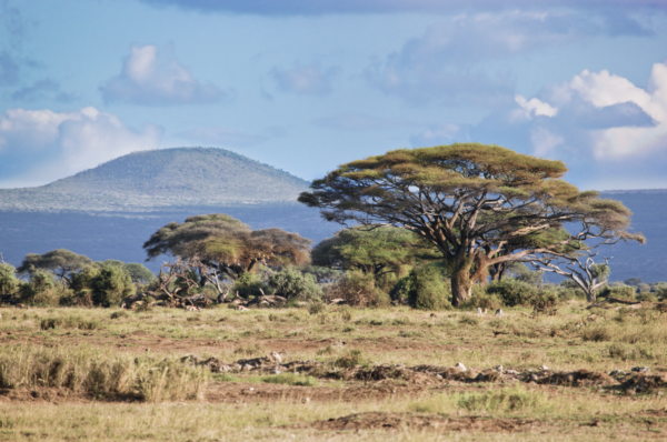 Amboseli National Park